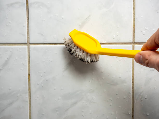 Best Insurance-Related Mold Remediation in Kentwood, MI