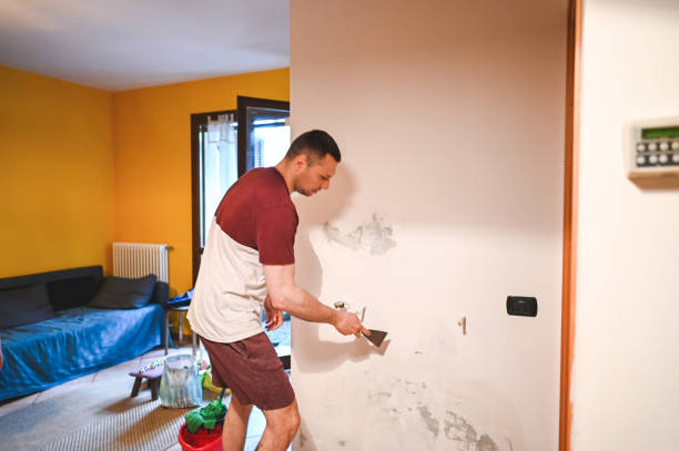 Best Commercial Mold Remediation in Kentwood, MI